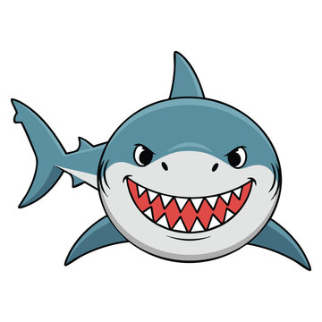 Angry shark front view shown as underwater swimming toothy fish character in ocean aquatic shark animal vector cartoon illustration