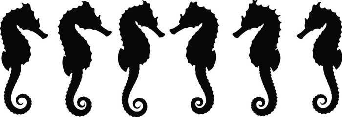 Seahorse silhouettes collection featuring elegant marine animals, ocean wildlife shapes and aquatic vector illustrations isolated on white background © Aurati