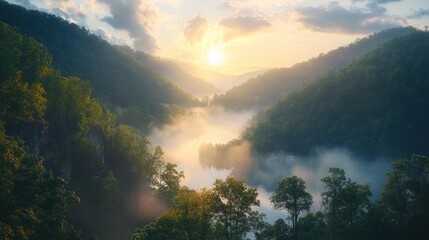 Fototapeta premium Misty Sunrise Valley, Mountain River, Lush Forest, Inspiring Scenery