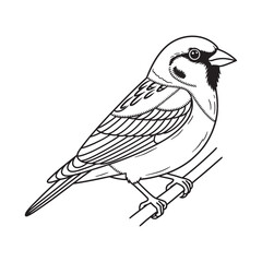 Obraz premium Single Bird Vector Line Art Minimal Black and White Illustration