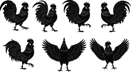 Rooster silhouette set showing multiple poses, black poultry bird illustration for farm design, vintage style, isolated on white background vector graphic collection artwork © MSTMUNMUN