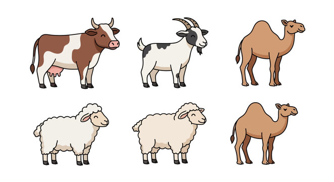Cow Goat Sheep Camel Vector Illustrations.