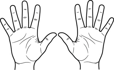 Fototapeta premium A pair of open human hands depicted in a black and white line drawing style, showing the palms and fingers extended