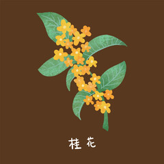 Mid-Autumn Festival Yellow Osmanthus Illustration