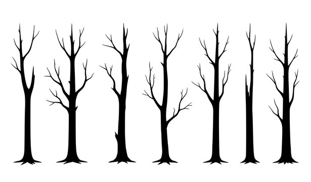 Realistic Dead Tree Silhouette Vector Set of Natural Dying Old Forest Trees