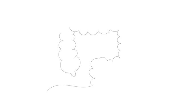 Continuous Single Line Drawing Animation of colon, Minimalist Monoline Colon Anatomy Illustration, Simple Linear Digestive System Health Icon Vector on White Background
