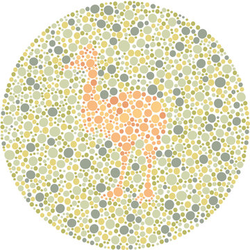 Hidden Cassowary Bird Silhouette in Ishihara Style Color Blindness Test