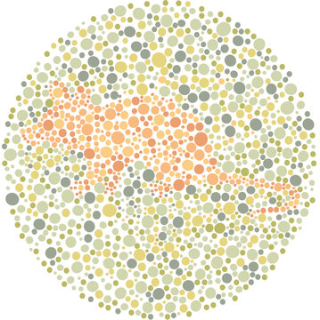 Hidden Mouse Silhouette in Ishihara Style Color Blind Test for Kids. Color Blindness Test with animal