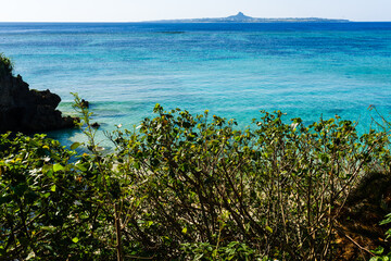 沖縄で見つけた南国の豊かな自然と文化を感じる風景
