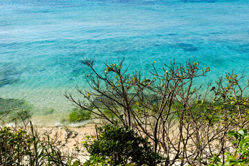 沖縄で見つけた南国の豊かな自然と文化を感じる風景