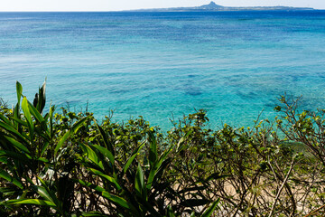 沖縄で見つけた南国の豊かな自然と文化を感じる風景