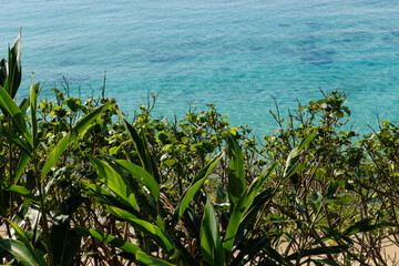 沖縄で見つけた南国の豊かな自然と文化を感じる風景
