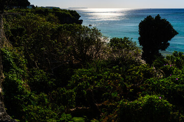 沖縄で見つけた南国の豊かな自然と文化を感じる風景
