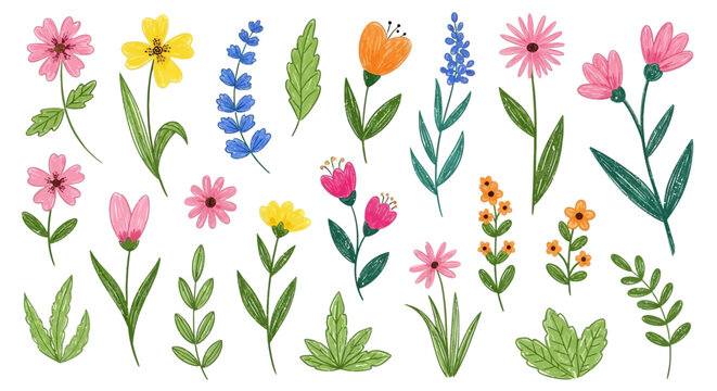 Set of spring and summer abstract hand drawn flowers. Floral cute doodle elements, wildflower, leaves and herb, plants, foliage. Colorful drawing brush, crayon, line. Vector illustration