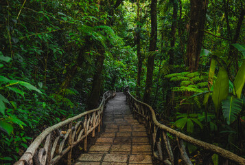 Obraz premium Incredible Nature Path Through Jungle Rain Forest to La Paz Waterfalls Costa Rica. Incredible Lush Trees with No People. Wooden Handrail Stone Steps