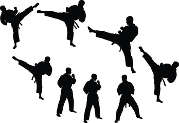 Set of karate and martial arts fighter silhouettes performing high kicks and combat stances, black athletic human figures isolated on white background for sport and self defense concepts © Ayejoddin