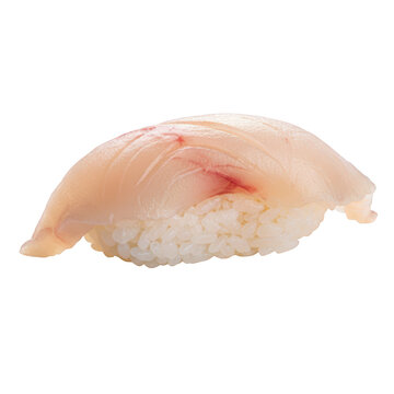 Yellowtail sushi nigiri raw fish Japanese food rice seafood delicacy