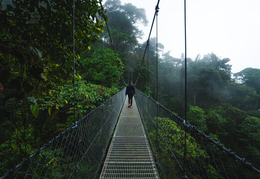 Girl in Black Hking Outfit Walking Hanging Bridge Misty Rainforest Costa Rica South America. Mistico Park in La Fortuna. Epic Narrow Foot Path Forest