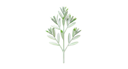 Fototapeta premium Green Plant Stem with Leaves and Droplets