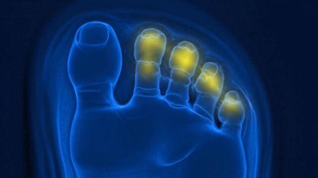 Foot Xray Animation Medical Imaging.