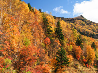 山田牧場からの笠ヶ岳