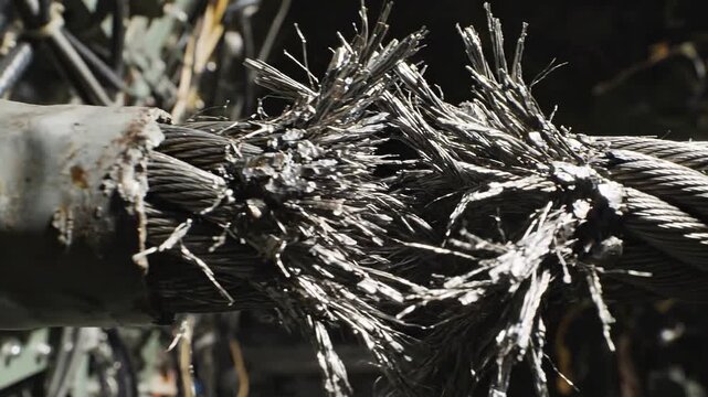 Frosty ice crystals cling to withered plant stems in cold morning light.