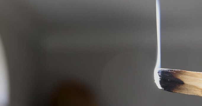 Bright, illuminated smoke curls and twists upward from a burning palo santo stick, caught in dramatic beams of light against a dark background. 