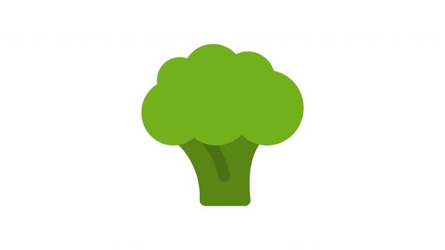 Animated Green Broccoli for Healthy Food Concept