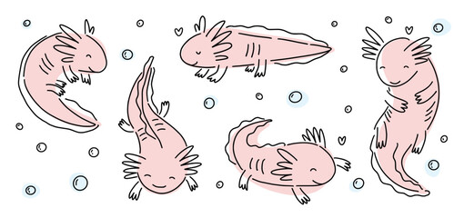 Vector collection of cute axolotl amphibians, hand drawn with line art in doodle style