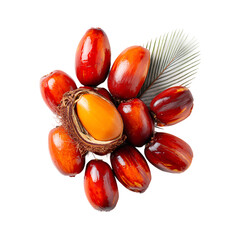 Obraz premium Set of Fresh oil palm fruits with a glossy red-orange hue, arranged neatly with one fruit cut in half on white background.