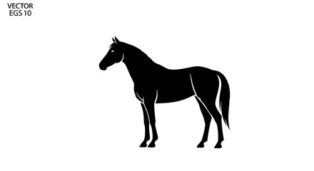 Obraz premium Black Horse Silhouette Standing.