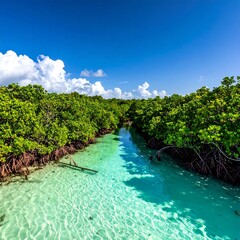 Turquoise waters flowing through lush green mangroves under a bright, clear blue sky with fluffy white clouds