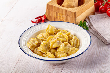 Tasty Russian dumplings with meat