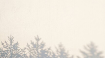 Obraz premium Abstract Shadows of Pine Trees on a Light Background.