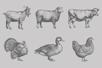 Halftone stipple style Cow, Sheep, Turkey, Chicken, Duck, Goat bundle vector illustration. Vintage engraving style animal set. Eps 10 © SAGOR