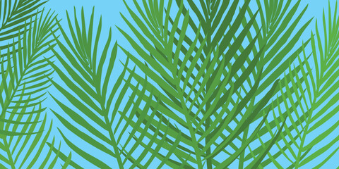 Summer background with tropical plant. Green tropical plant on blue background card for web design. Vector illustration