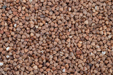 Closeup of buckwheat groats texture, uniform earthy pattern and warm brown tones for packaging and web backgrounds, highdetail macro surface ideal for branding and design mockups