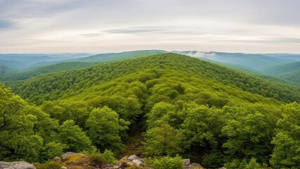 Fototapeta premium Panoramic view of green forested hills under cloudy sky