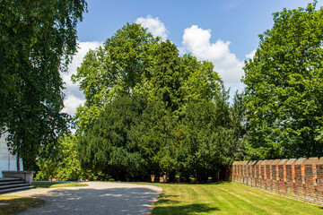 Fototapeta premium Scenic view of a castle garden with lush green trees and a historic brick fortification wall under a blue sky