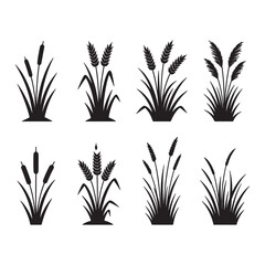 Grass and Reeds Silhouette Vector Set Wheat, Pampas, and Meadow Grass