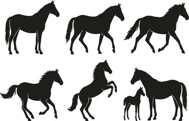Fototapeta premium 2026 Chinese New Year Year of the Horse Calendar and Poster with Red Zodiac Calligraphy