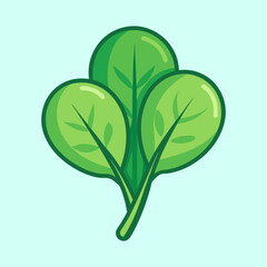 vector illustration of a baby spinach