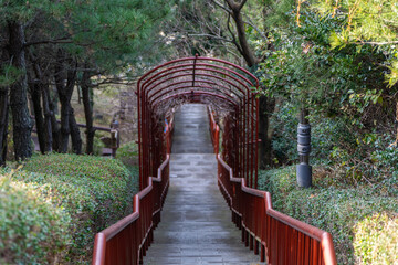 high angle view of the stairway in Udo, Jeju Island, South Korea