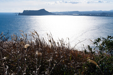 idyllic seascape with sunlight-reflected sea