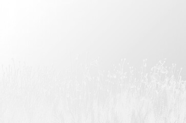 Minimalist Embossed Floral Meadow.