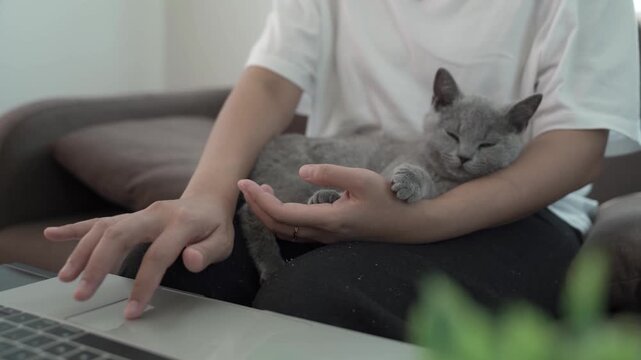 A woman works at a computer with a kitten sleeping beside her.