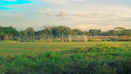 autumn landscape with trees