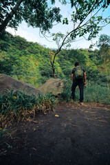 walking in the woods