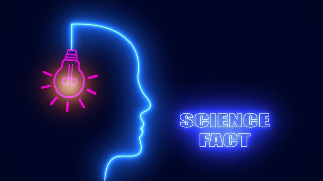 Neon head silhouette with glowing bulb for science fact content and academic research presentations in stem education