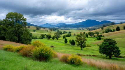 Fototapeta premium Green pastoral valley landscape with rolling hills and storm clouds